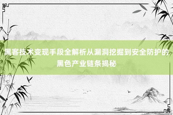 黑客技术变现手段全解析从漏洞挖掘到安全防护的黑色产业链条揭秘