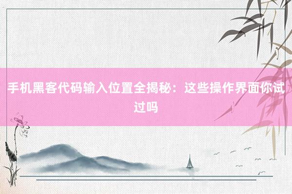手机黑客代码输入位置全揭秘：这些操作界面你试过吗